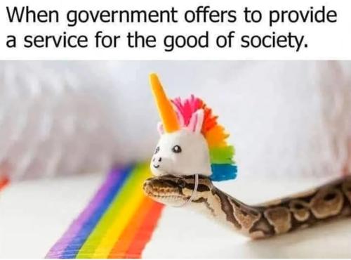 government