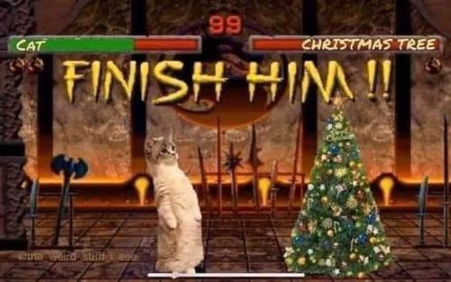 FB_IMG_1703244060894