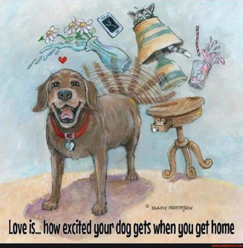 Resized_3cdae1b6ac22cd8a6163e0de463c48cce1662c7bc5abace431e0c3806d6969b9_1