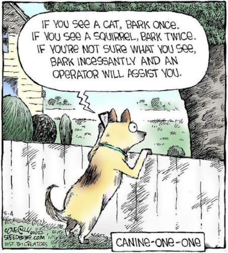 FB_IMG_1703122032171