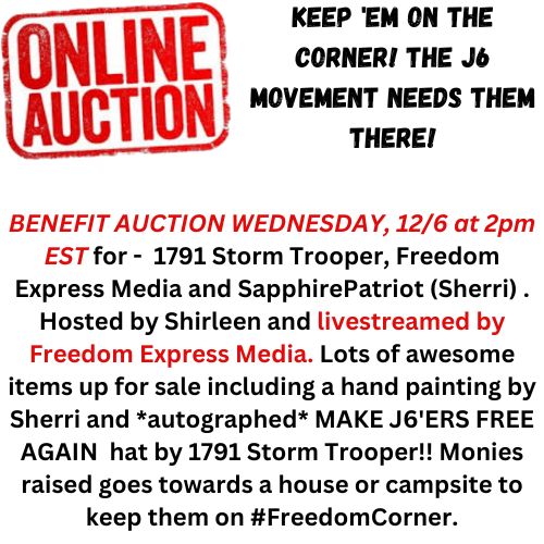 BENIFIT AUCTION FOR 1791 Storm Trooper Freedom Express Media & SapphirePatriot (Sherri)