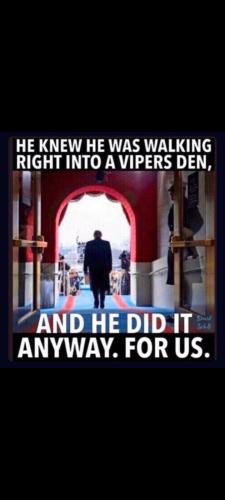 Screenshot_20230910-185228_Gallery