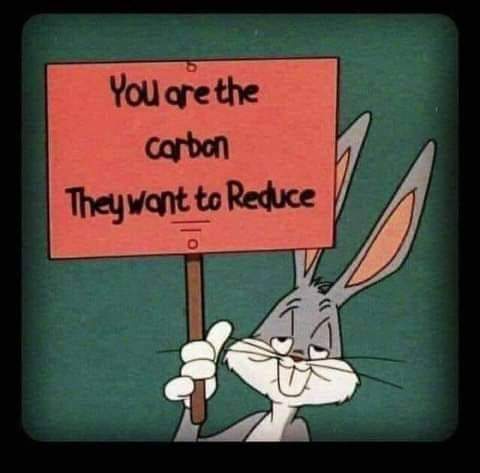 FB_IMG_1703813763898