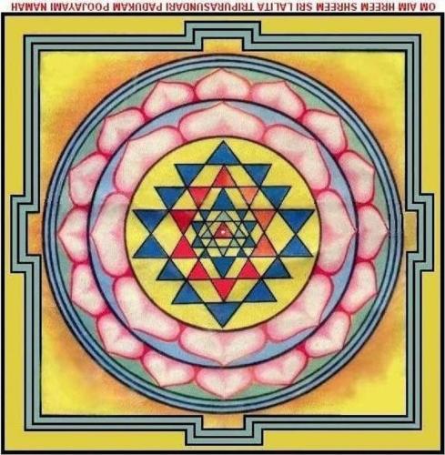 .       407158612_72510079949...