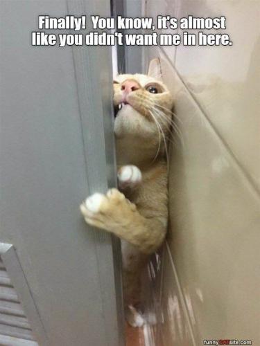 b046f85cba20e8902be011586d850cd5