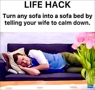 sofa bed00