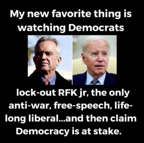 Dems vs RFK
