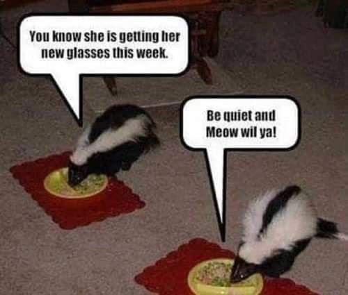 f3f1c9c909228aceae5e0de1d5e63d70