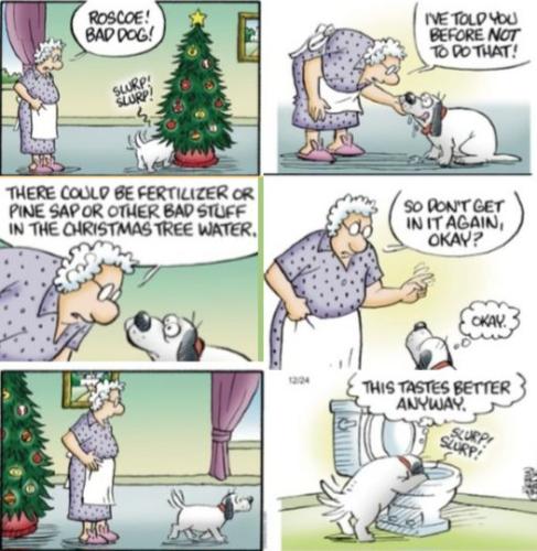 410955895_10162375436205579_7253986943267571327_n