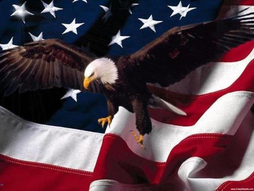 American Flag Eagle