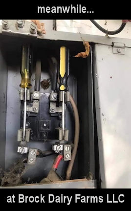 meanwhile at Brock Dairy Farms LLC