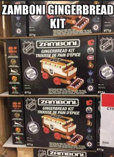zamboni gingerbread house