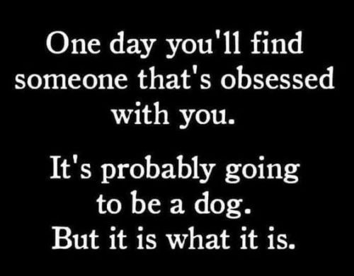 537882c83f2d73db4e99a86acc73310e