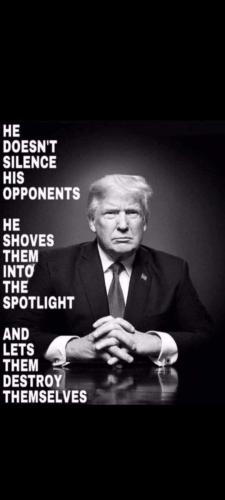 sngine_5445836c05792a3b634b8cd55f6b63ca