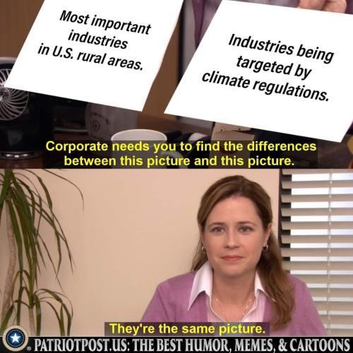 FB_IMG_1702177341231