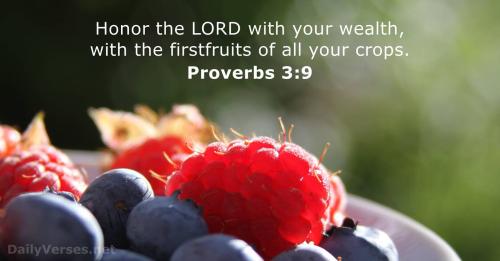Proverbs 3_9