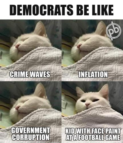 img - 2023-12-02T094447.719