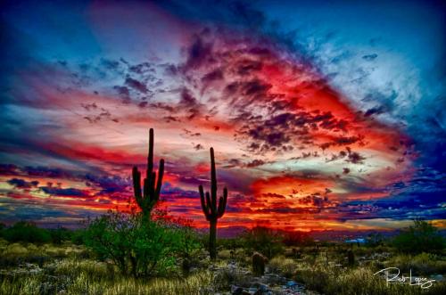 60B42DB6-5314-40B5-A4A7-F9140B1FE52F