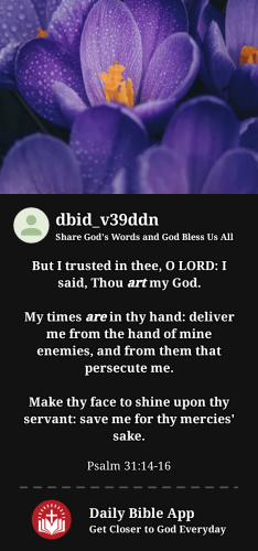 2023-12-071701955090685