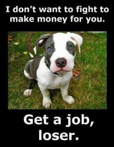 55497545e30605dc92c947d13493b06a