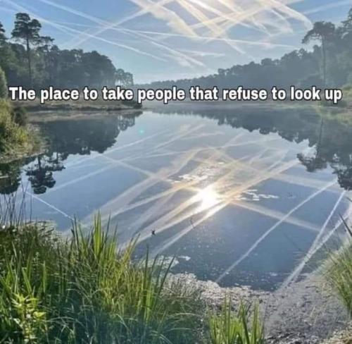 FB_IMG_1700567305346