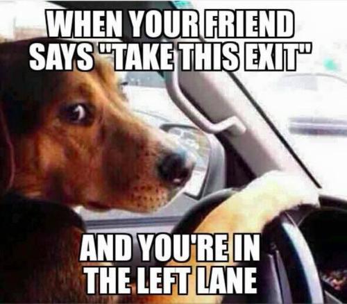 56df06398d21fa4b0fc9247b8b5914a0