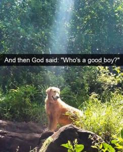 GodSaidWho'sAGoodBoy11-23