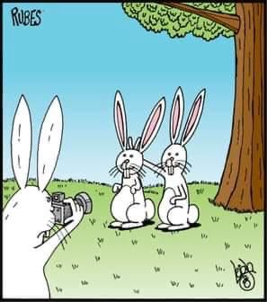 414997393_2046174032426784_903265360749323348_n