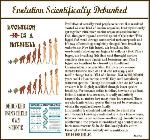 evolution debunked