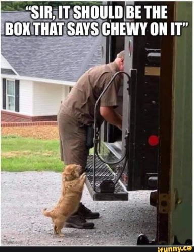 Resized_3cb5b25fd6a19af23ad40a05bb4bf899e74ca977c42d53b16f4701ce8d3094a9_1