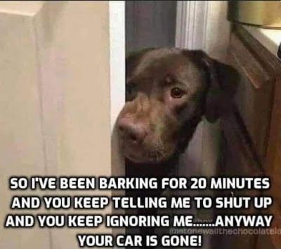 60d47eefe999a4de2fdcb944d108a9ea