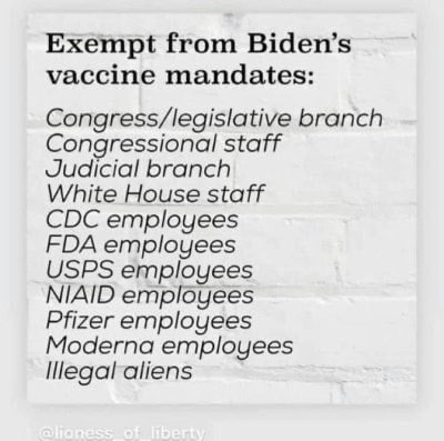 1f6ce47a153a2dce25cf13494319d2f2_768x0