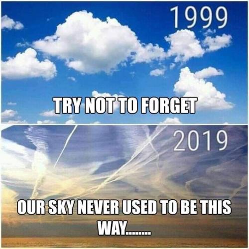 never used to be
