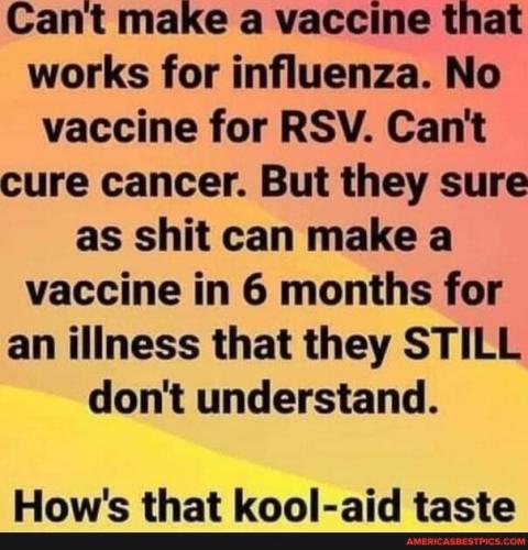 sngine_143235bd68b3a78c0e1820aeb58d93df