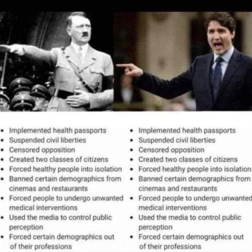 comparison