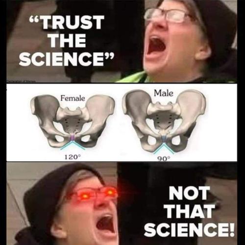 FB_IMG_1702156815846