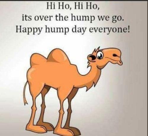 1-Hump Day