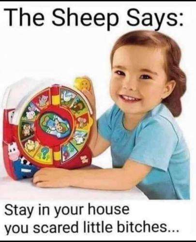 406424612_7150954668276421_50848115367148711_n