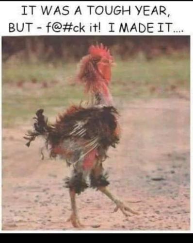 FB_IMG_1703991300505