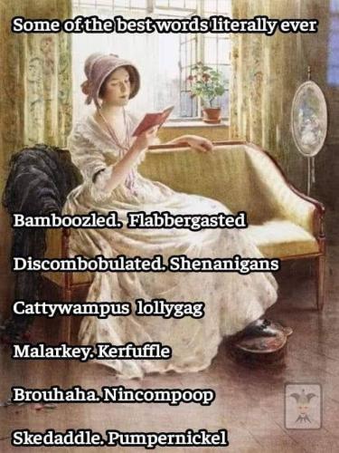 FB_IMG_1701886607122