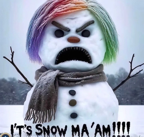 Screenshot 2023-12-26 105241