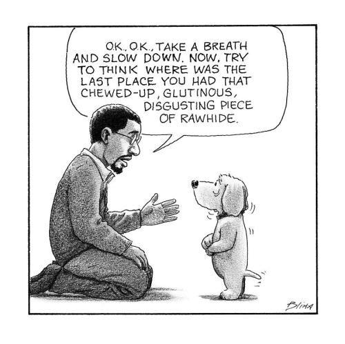 Lost-Piece-of-Rawhide-by-Harry-Bliss (1)