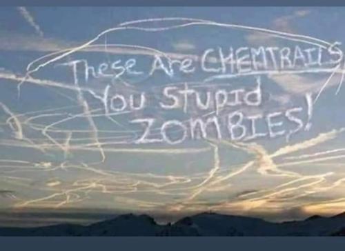 414128539_385379460821743_6425043138613721895_n