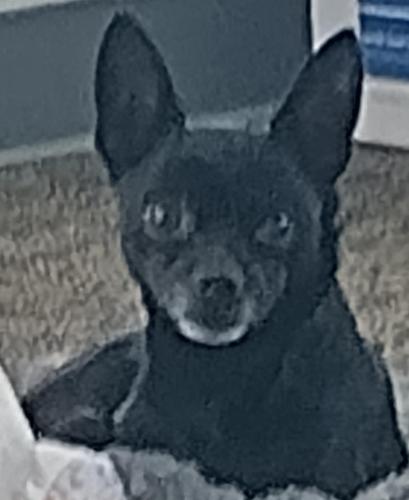 c8d872b6-6715-419d-8bb9-9be6c9751893