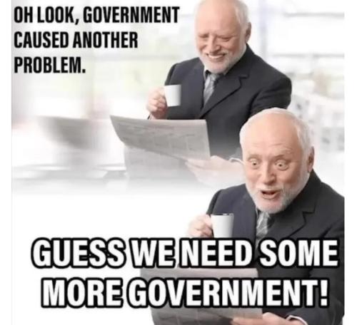 more govt