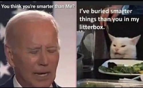 918f0c0c-ba79-4d0a-b930-fe199fcb21b4