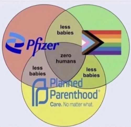 pfiser birth control