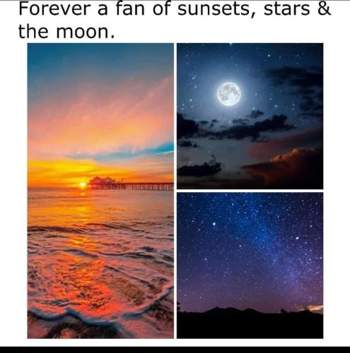 FB_IMG_1703216169705