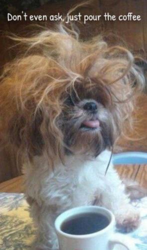 sngine_7405d6d353885094f3cafc712f2c54c7