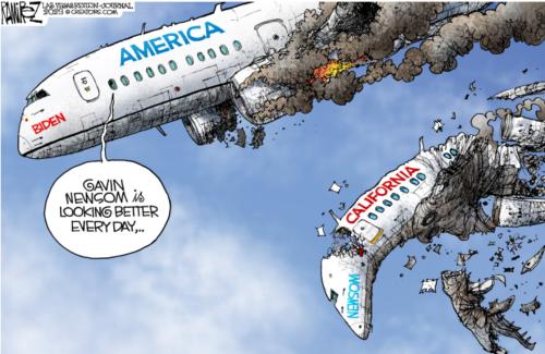 GAVIN NEWSOM PLANE
